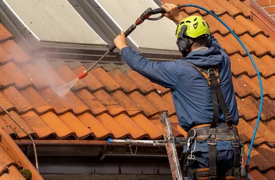 Démoussage et hydrofuge de toiture à Aullène